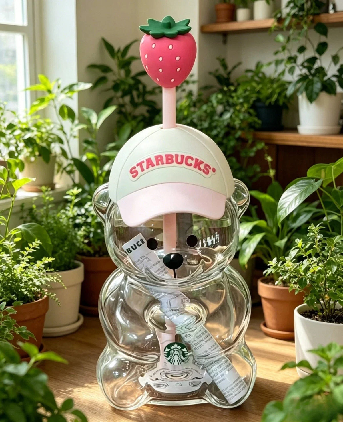 Bear Cup